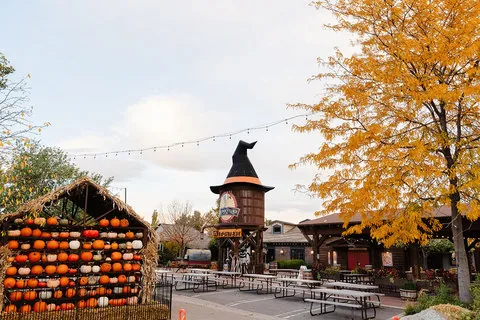 Pumpkin stacks, autumn trees and the witch-hatted silo at Gardner Village during the season